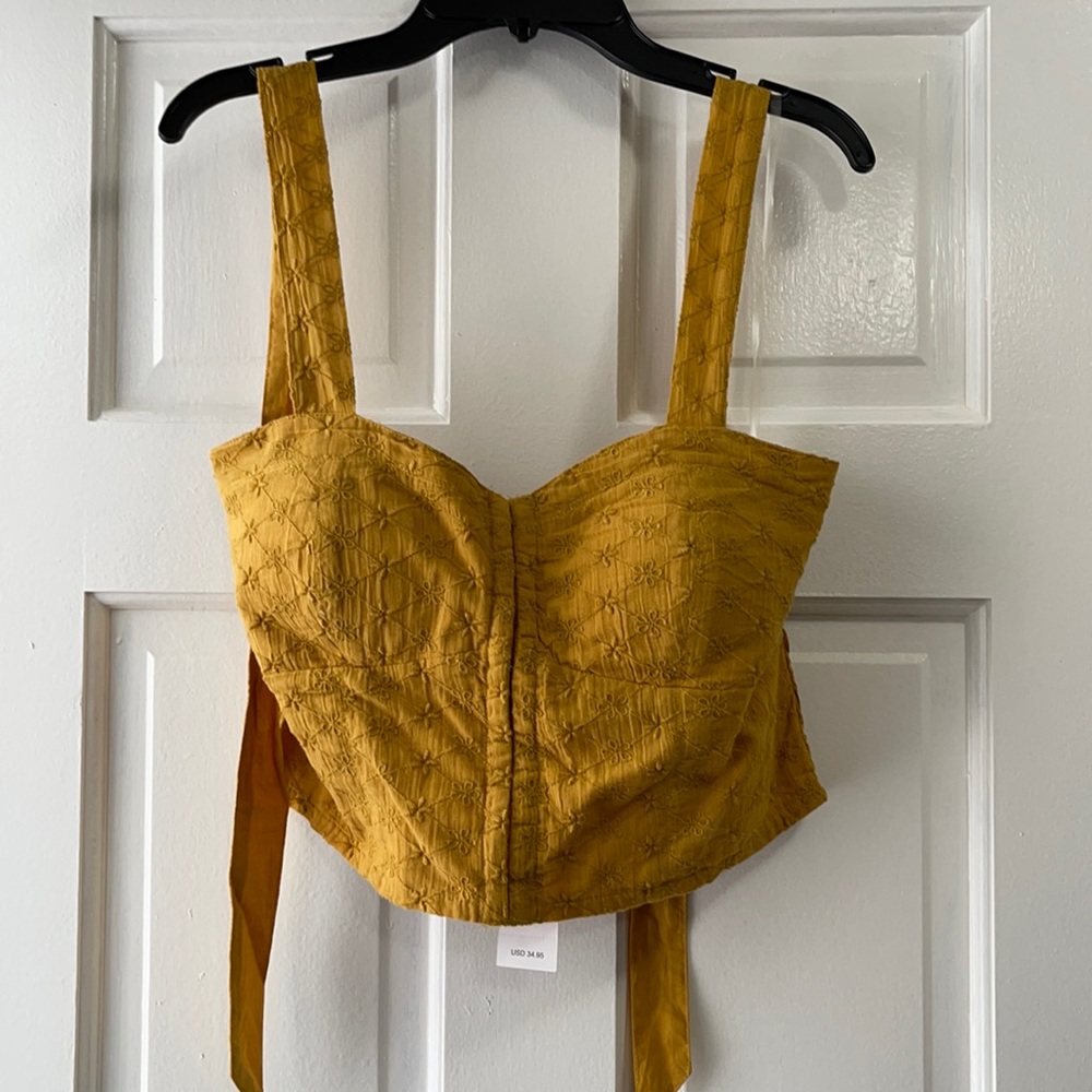 American Eagle Crop Top